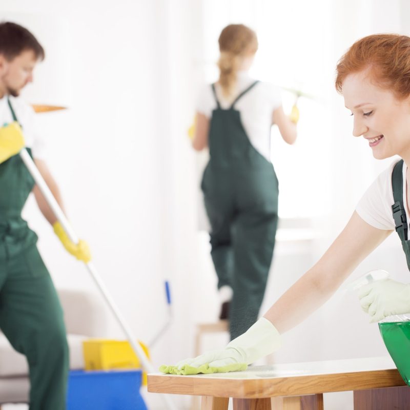 Team cleaning office table, floor and window